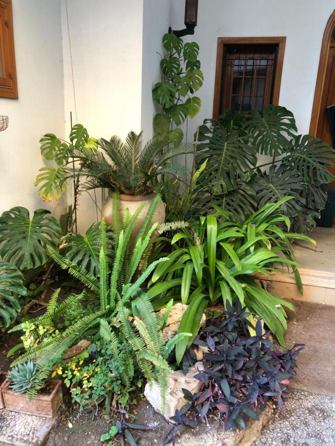 Artroom Garden Noto Exterior foto