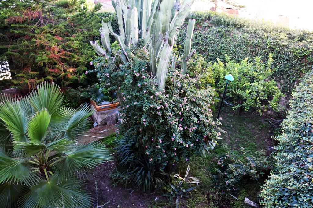Artroom Garden Noto Exterior foto